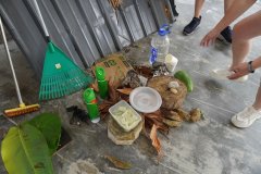 DSC00861