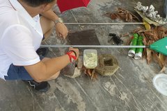 IMG_20250510_145342