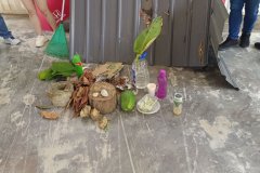 IMG_20250510_152502